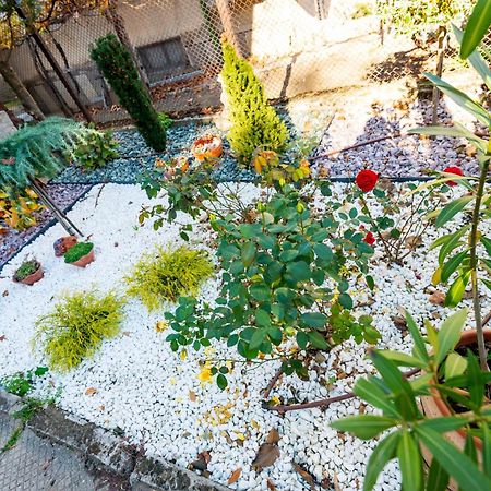 Appartamento Devin Coworking & Coliving Esterno foto