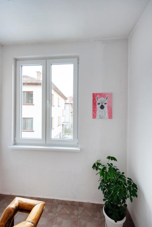 Appartamento Devin Coworking & Coliving Esterno foto